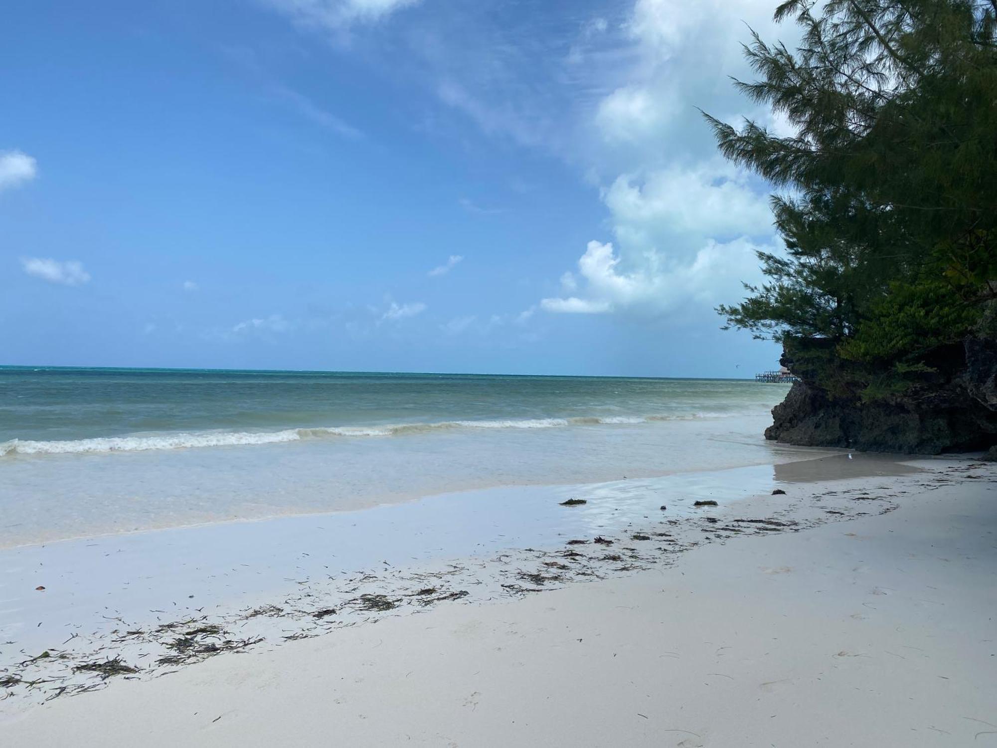 Mbuyuni Beach Village Jambiani  Luaran gambar