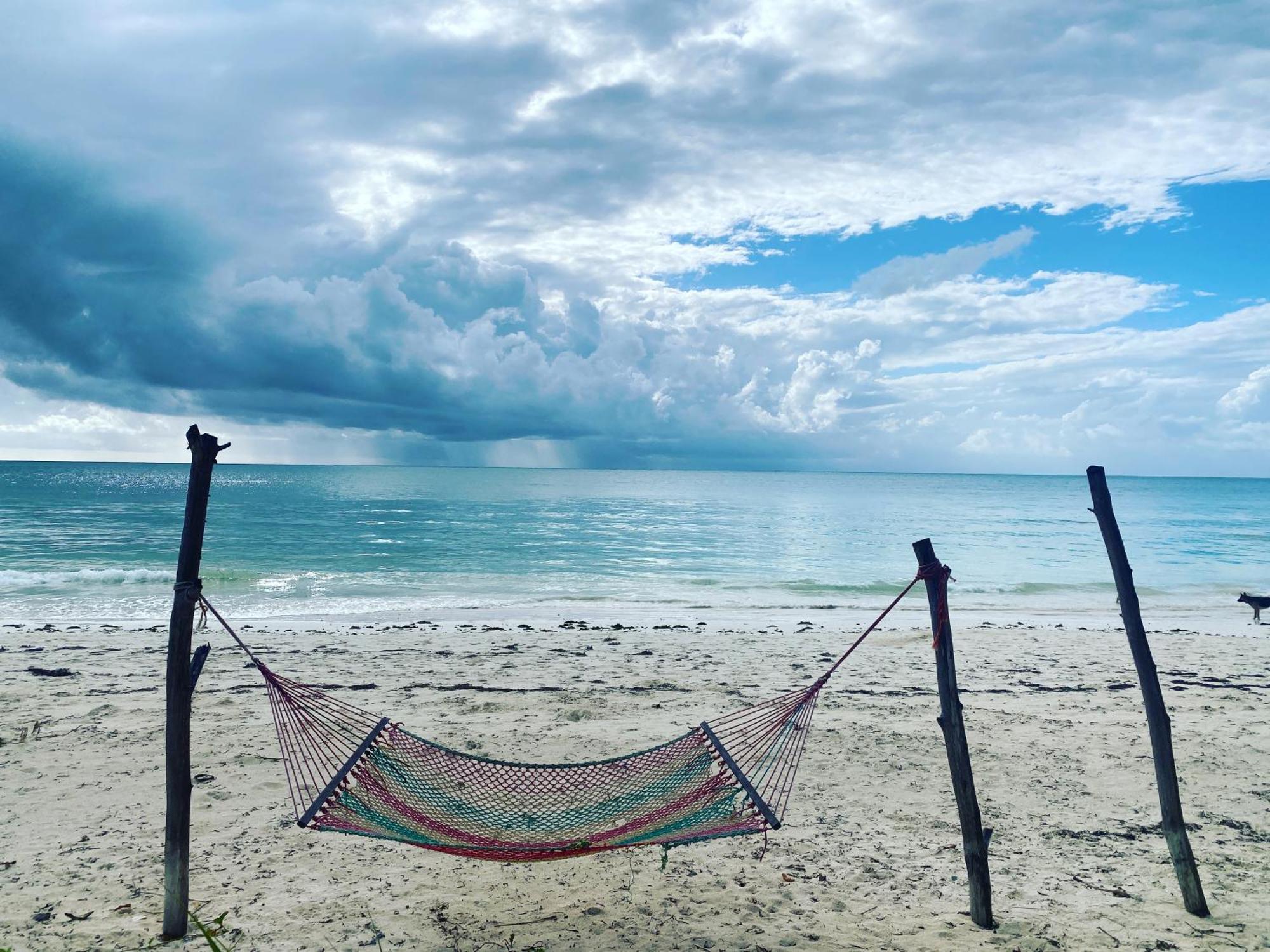 Mbuyuni Beach Village Jambiani  Luaran gambar