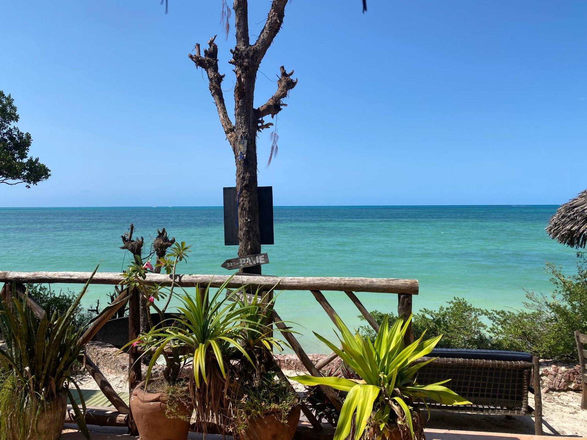 Mbuyuni Beach Village Jambiani  Luaran gambar
