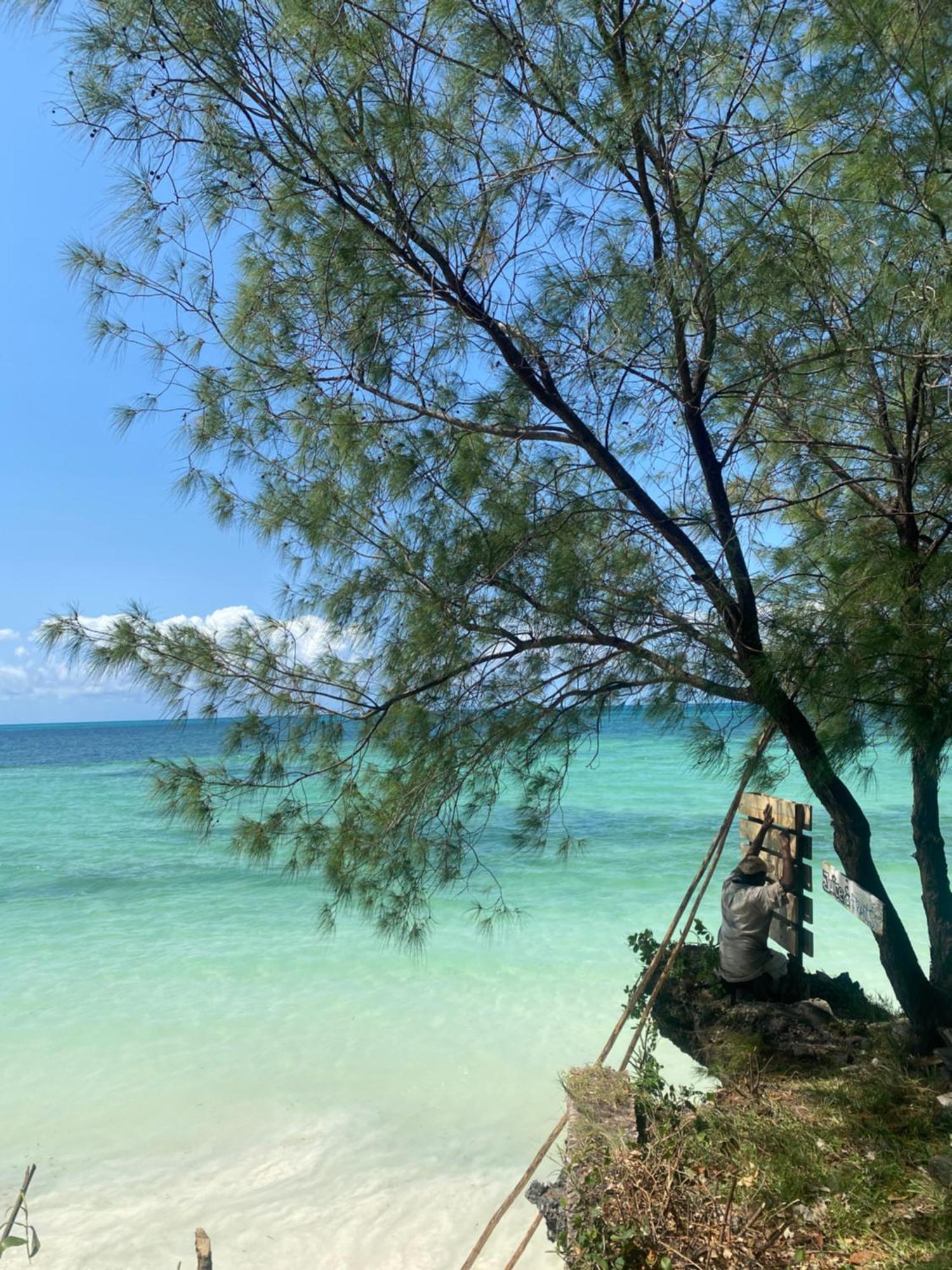 Mbuyuni Beach Village Jambiani  Luaran gambar
