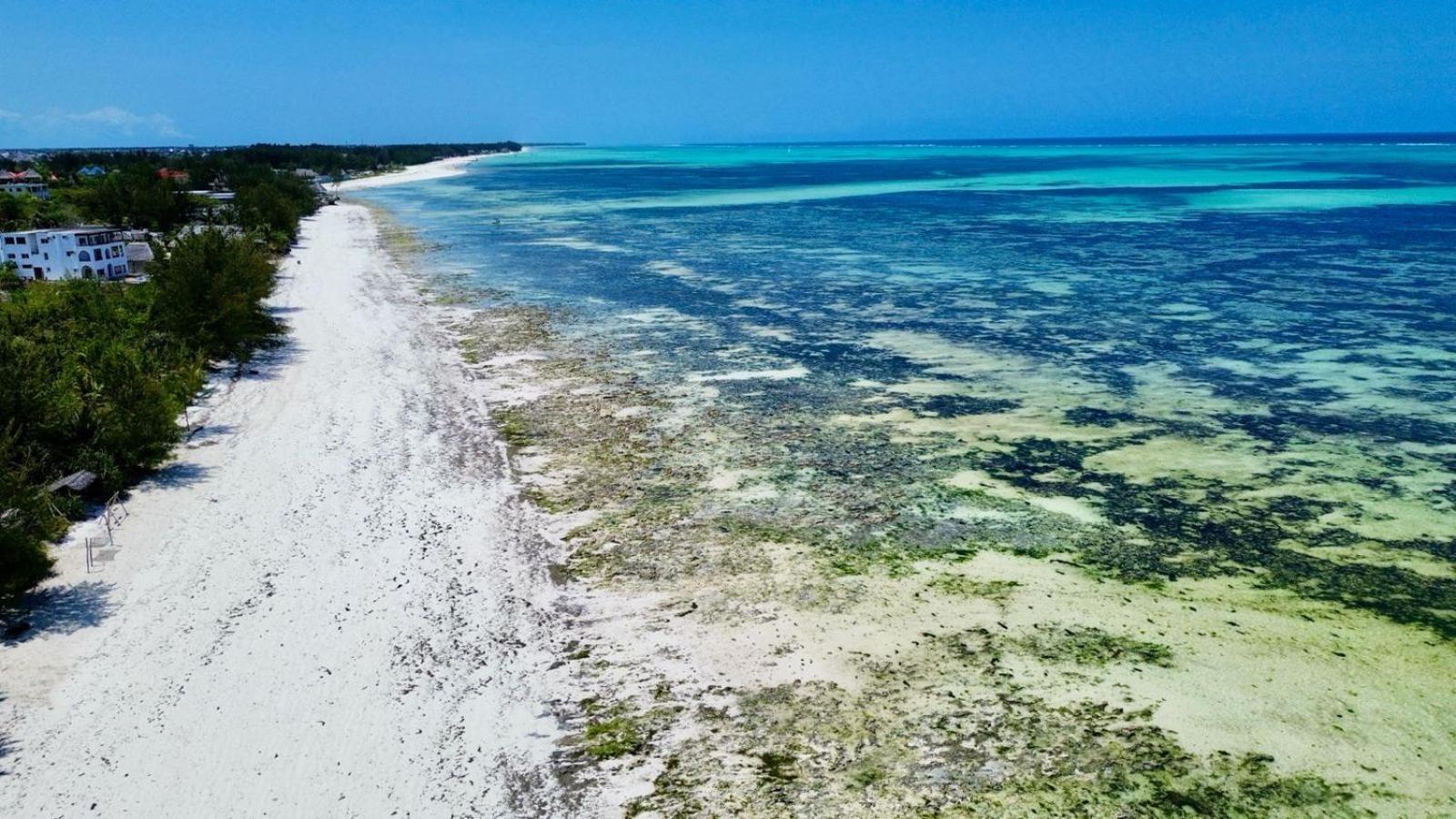 Mbuyuni Beach Village Jambiani  Luaran gambar
